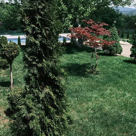 - Lavanda Skopje